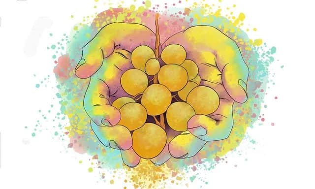 Étiquette : raisin doré tenu à deux mains, éclaboussures de couleur