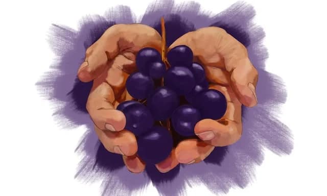 Étiquette : raisin violet tenu à deux mains
